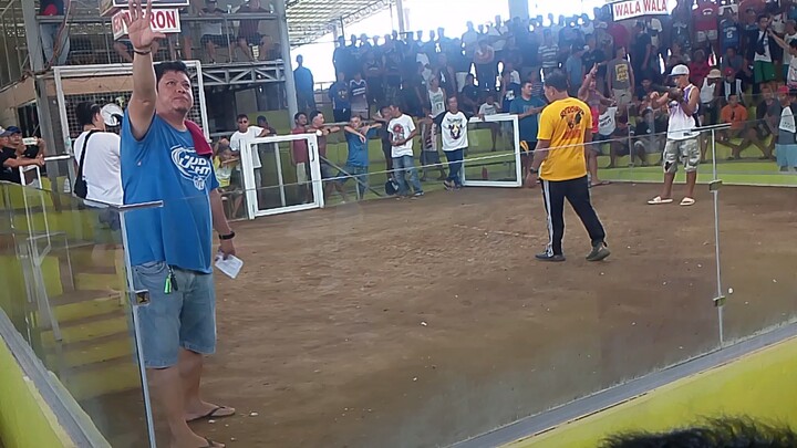 bayot win mga boss