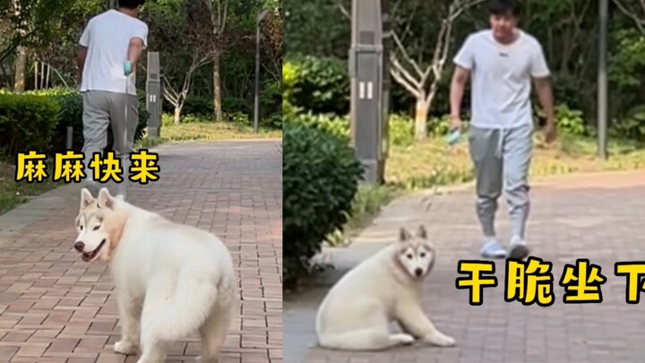 Ketika pacar saya marah dan menyuruh saya untuk tidak menyentuh anjing manja yang ia beli