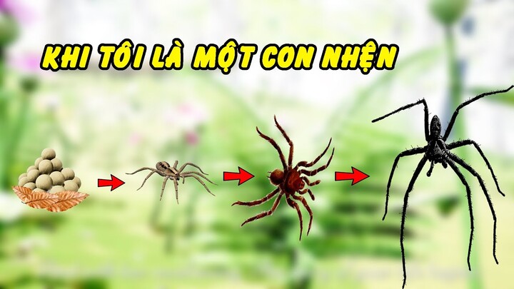 Khi tôi là một con nhện l GHTG TRUYỆN