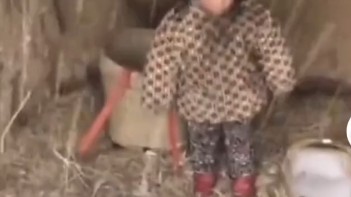 This little girl is so well-behaved.