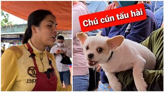 Chú cún dễ thương tên Soobin Hoàng Sơn làm náo loạn tiệm bánh tráng trộn DIVA Cát Thy