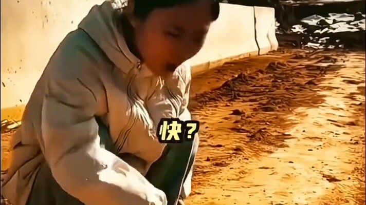 When I fried cow dung with my friends during the Chinese New Year