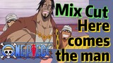 [ONE PIECE]   Mix Cut |  Here comes the man
