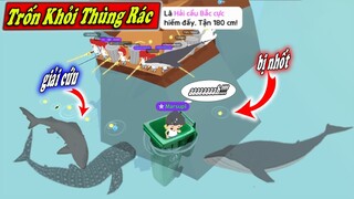 THỬ THÁCH 48H THOÁT KHỎI THÙNG RÁC | CUỘC CHIẾN CÁ VOI RÂU TRẮNG VÀ CÁ MẬP GREENLAND | PLAY TOGETHER