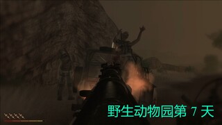 野生动物园第 7 天