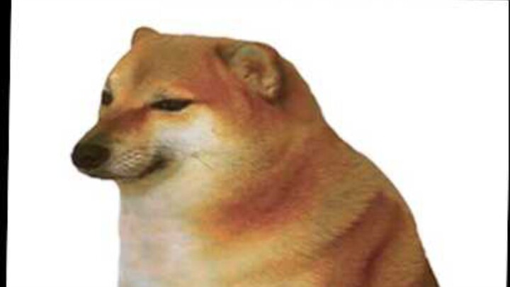 nầy thì chửi chụy lùn