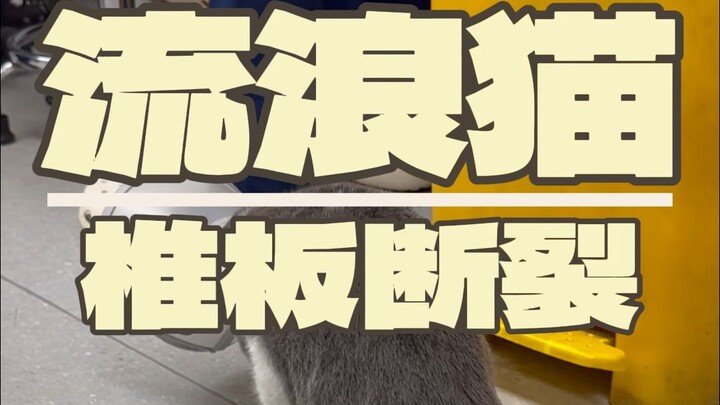 Ada yang benar-benar mau lihat kasus kita yang gagal??