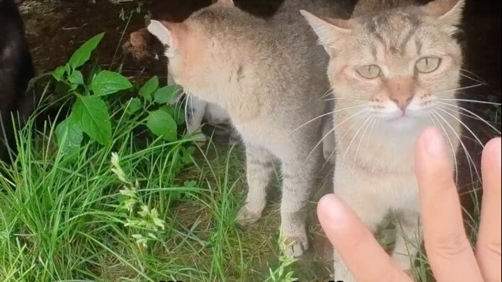 Clear skies in the morning, heavy rain in the afternoon