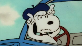 Beagles also have road rage