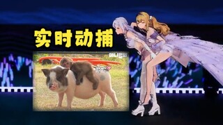 【又一&梨安】🐵骑🐷实时动捕画面🤣一模一样🤣