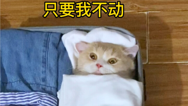 Why does this luggage feel more and more off as I pack it!