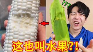 ฮามาก! คุณเรียกผลไม้นี้ว่า "ผลไม้" เหรอ? ผลไม้ชื่อดังในอินเทอร์เน็ตนี้โค้งมนน่าเหลือเชื่อจริงๆ!