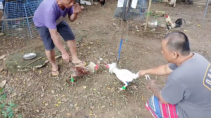 5months old sweater grey 1st spar