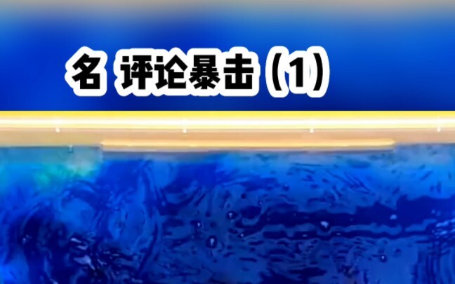 名《评论暴击》，好看的小说安利。