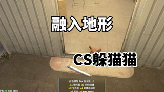 CS2 Hide and Seek: Directly integrated into the terrain