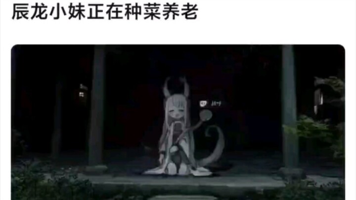 الأخت الصغيرة تشن لونغ تزرع الخضروات لتعيش براحة في سن الشيخوخة.