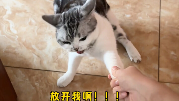 Does your cat always dash out as soon as the door opens? Try this trick!
