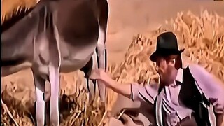 You can tell the time by touching the donkey's balls