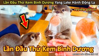 Hảo Hán Review lần đầu thử Kem Bình Dương Yang Lake hành động lạ || Review Giải Trí Đời Sống