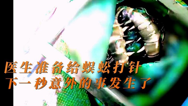 Two centipedes have coiled around a man’s heart, leaving even world-renowned doctors stumped.