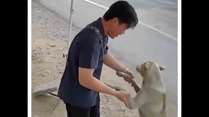 Người đàn ông Thái Lan tình cờ gặp lại chú chó cưng đã mất tích của mình khi đi mua nước, cả người l