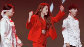 【4K | Dynamic Lyrics】 She came from the thorns, but bloomed more than any flower | Yu Yan's "Rose Bo