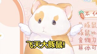 花玲豚鼠今天长翅膀了嘿嘿！【花玲片2】