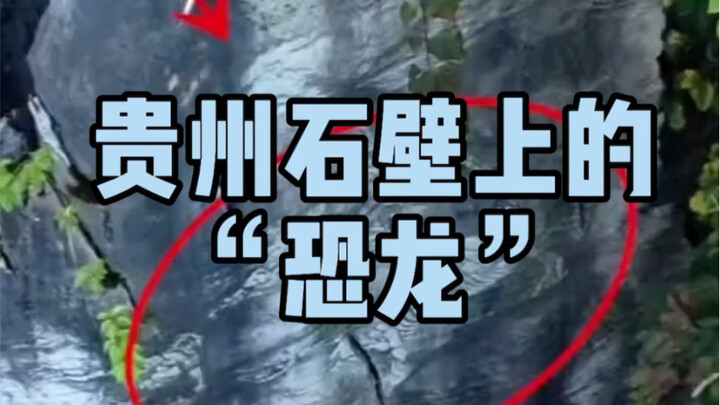 【亮记生物鉴定】贵州石壁上的“恐龙”