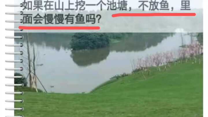 Nếu đào một cái ao trên núi mà không thả cá, thì dần dần trong đó có sẽ xuất hiện cá không?