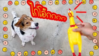 โลกของแสนดี ตอน ใครอยากได้ไก่โอ๊ก??