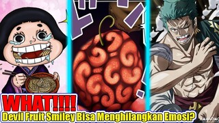 MENGEJUTKAN!!! Devil Fruit Buatan Smiley Bisa Menghilangkan Emosi Orang? Mungkinkah?