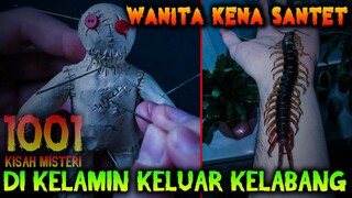 🔴 9- WANITA KENA SANTET LUBANG KELAMIN KELUAR KELABANG | PODCAST 1001 KISAH