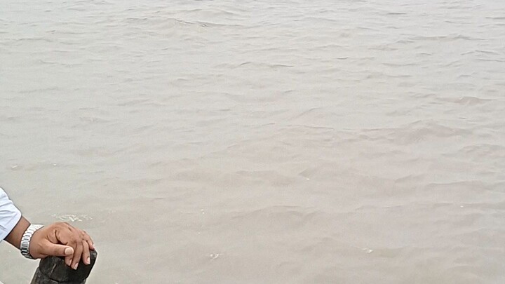 সুন্দরবন যাওয়ার পথে #sundarban