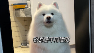 هل لديه خطة تجديد جديدة مرة أخرى؟