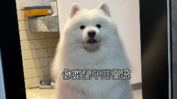 Apakah ada rencana renovasi baru lagi?