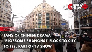 Fans of Chinese Drama "Blossoms Shanghai" Flock to City to Feel Part of TV Show