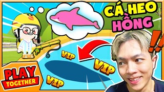 Mr Vịt CÂU CÁ HEO HỒNG và cái VIDEO bị NGUYỀN RỦA | Play Together.