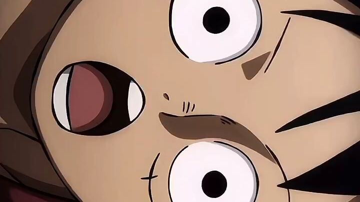 Momen ketemu kangen kangenan zoro dan luffy