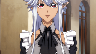 【2024年/大西沙织】大叔新人冒险者，被最强小队往死里锻炼后变无敌了 先导PV【MCE汉化组】