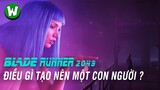 Blade Runner 2049 Để Lại Những Gì Trong Lòng Mình ?