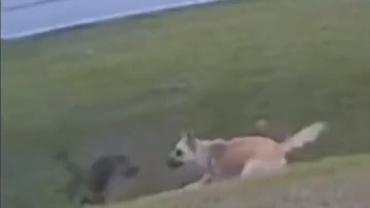 เกมรับนี่ดีกว่าทีมชาติจีนอีกนะ!