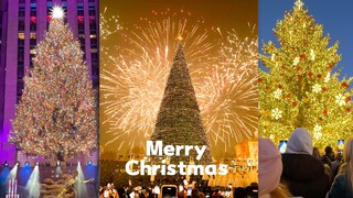 ชมพิธีประดับไฟต้นคริสต์มาสทั่วโลก 🎄