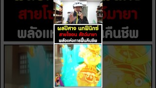 ผลปีศาจ นกฟีนิกซ์ สายโซอน สัตว์มายา พลังแห่งการฟื้นคืนชีพ - วันพีช [KOMNA CHANNEL]