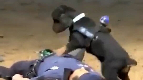 A police dog brimming with skills