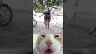 wait for ending #shorts #viralvideo #funny