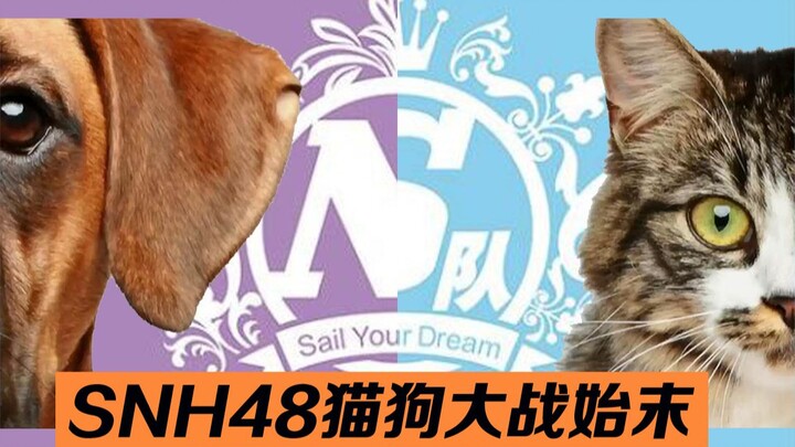 Đầu đuôi cuộc chiến chó mèo kéo dài 7 năm của fan SNH48 | Team NII từ huy hoàng đến suy tàn | Team S