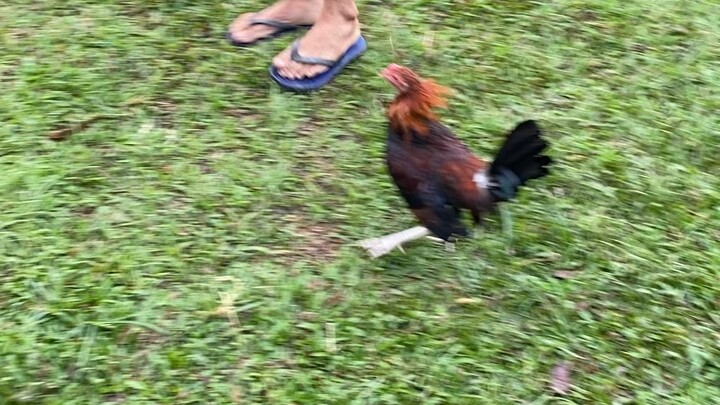 Mga bugoy na 3months 🤣