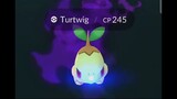 Pokémon GO-Shadow Turtwig