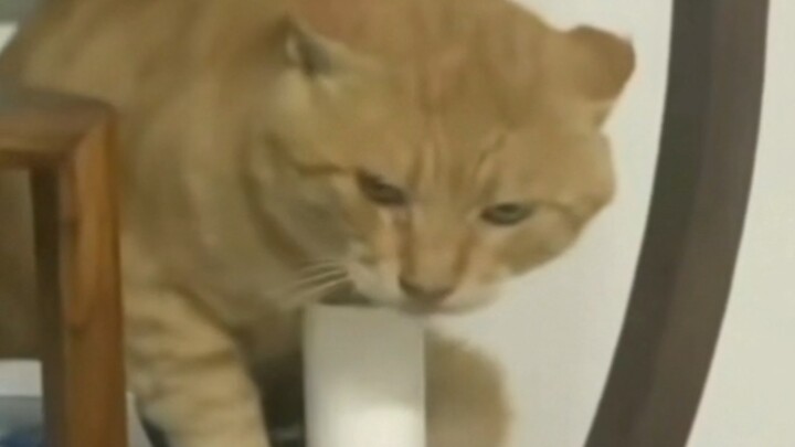 What is the last glance before becoming a god, and what is it longing for?