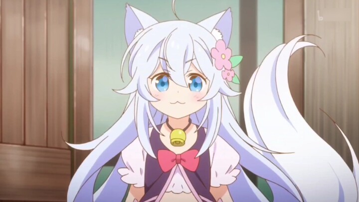 【Wumi】Woomie meow~ I want to be everyone’s love~ Douluo